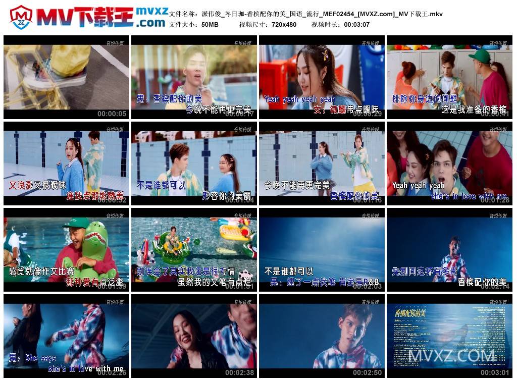 派伟俊_岑日珈-香槟配你的美_国语_流行_MEF02454